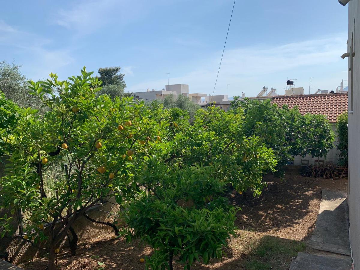 Αβαντιάς Abantias Apart otel Loutra Edipsou  Dış mekan fotoğraf